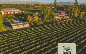 Enlace Wine House
