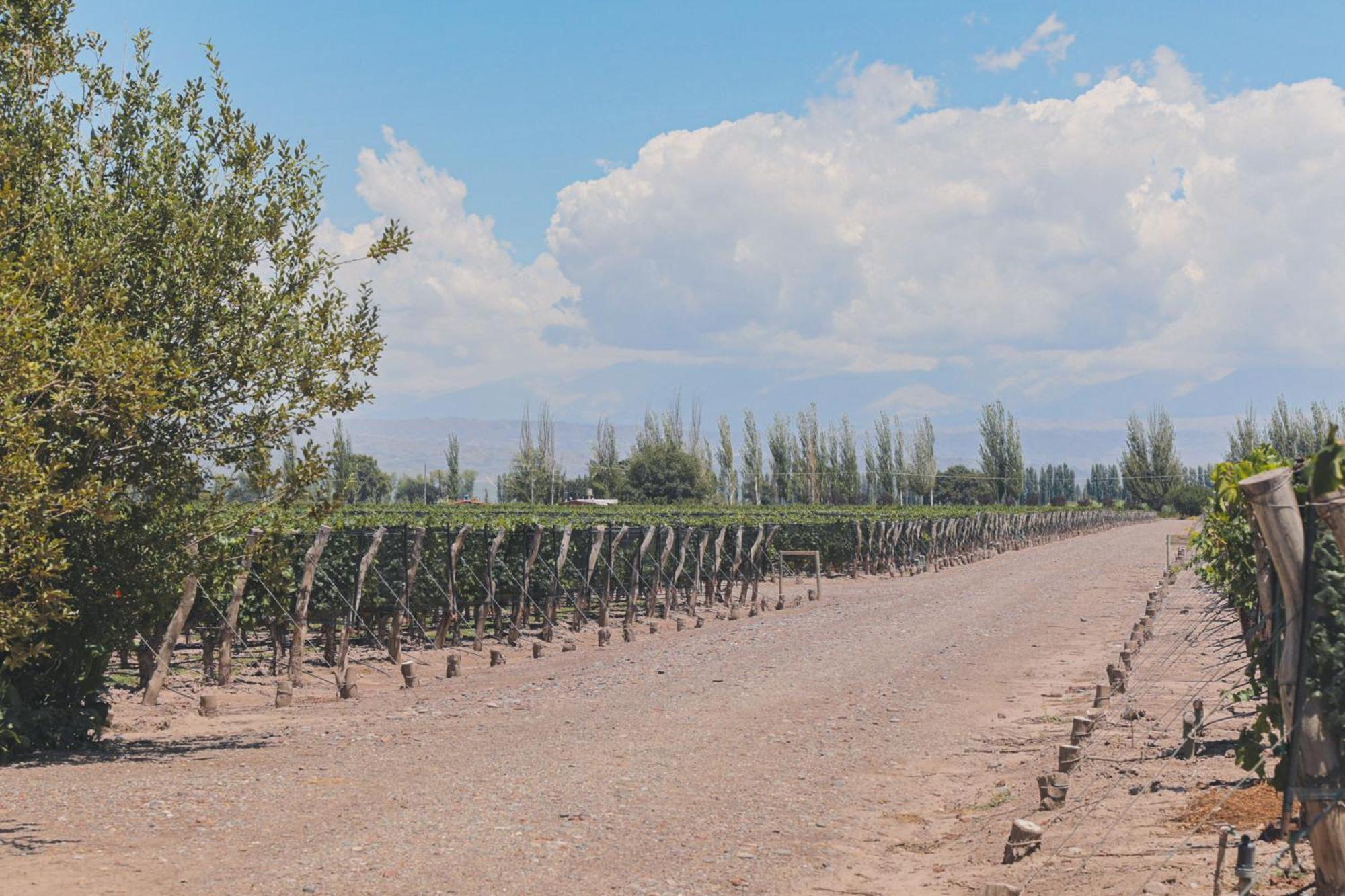 Enlace Wine House Lujan de Cuyo Exterior photo